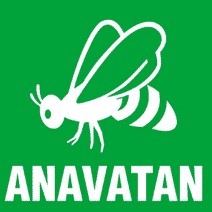 Anavatan'da yeniden yapılanma süreci