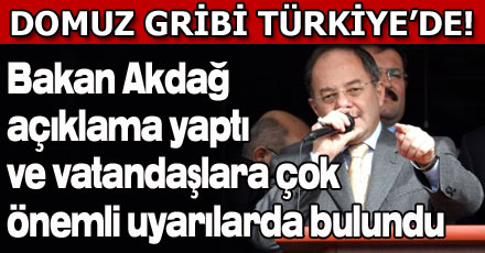 DOMUZ GRİBİ TÜRKİYE'DE