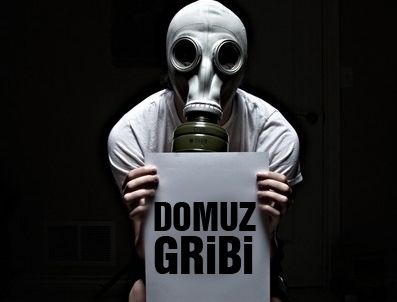 Domuz gribindeki korkunç iddia