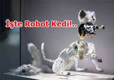 İnanması Zor Ama Bu Kedi Bir Robot