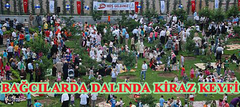 Bağcılar'da dalından kiraz keyfi