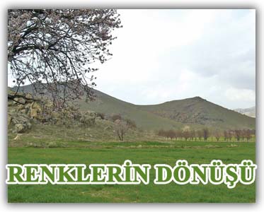 “Tatarlı - Renklerin Dönüşü” Yapı Kredi Vedat Nedim Tör Müzesi’nde...