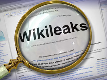 Banu Avar da Wikileaks için yazdı