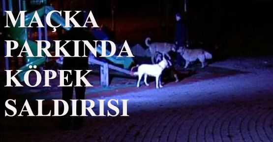 MAÇKA PARKI'NDA KÖPEK SALDIRISI