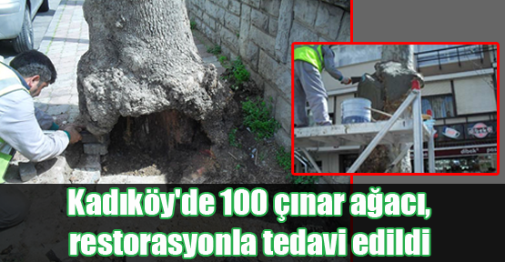 Kadıköy'de 100 Çınar Ağacı'na Restorasyon