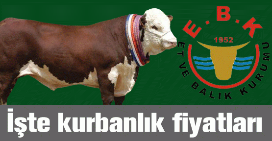 İşte kurbanlık fiyatları