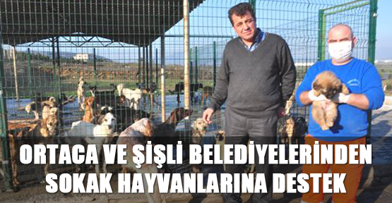 Ortaca Şişli Belediyesi'nden sokak hayvanlarına destek