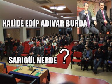 Halide Edip Adıvar Burada, Sarıgül Nerede?