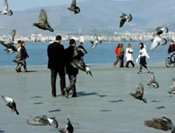 Kış ortasında yalancı bahar