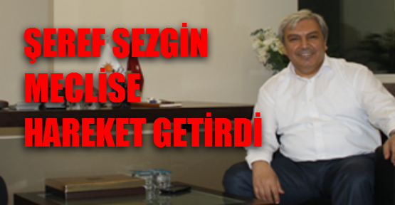 Sezgin meclise hareket getirdi