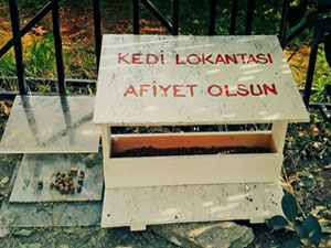 Şişlili gönüllülerden ‘Kedi Lokantası’